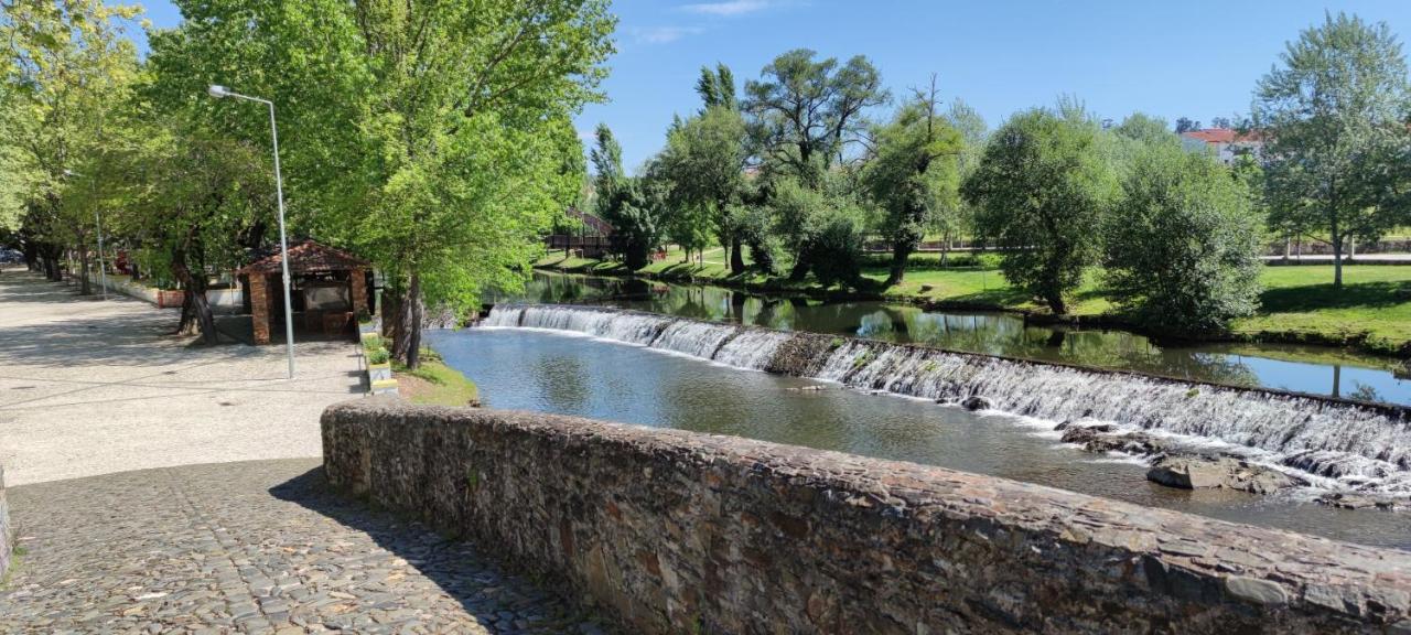 Pomar Das Oliveiras - Private Swimming Pool - Free Ev Chrg - Pet Friendly Carvalhal  Exterior photo